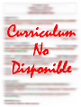 Ver Curriculum Vitae
